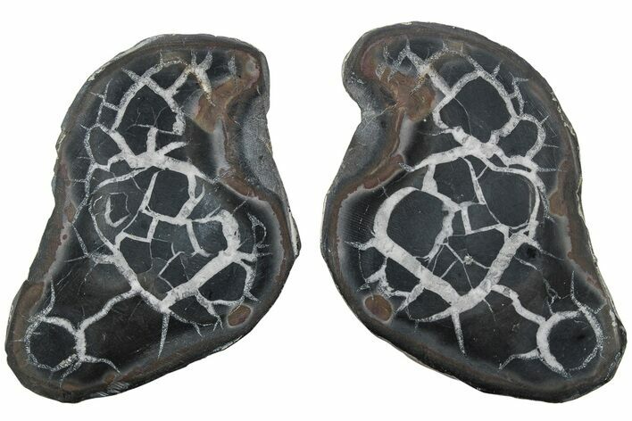 Cut/Polished Septarian Nodule Pair - Morocco #220662